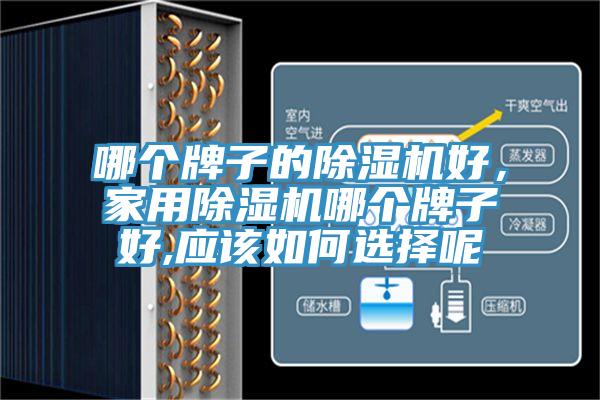 哪个牌子的除湿机好，家用除湿机哪个牌子好,应该如何选择呢