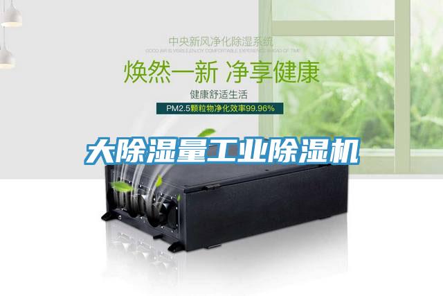 大除湿量工业除湿机