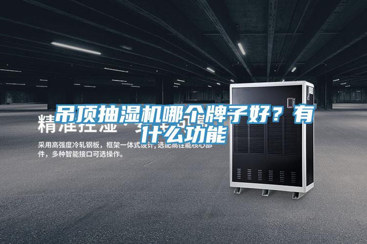 吊顶抽湿机哪个牌子好？有什么功能
