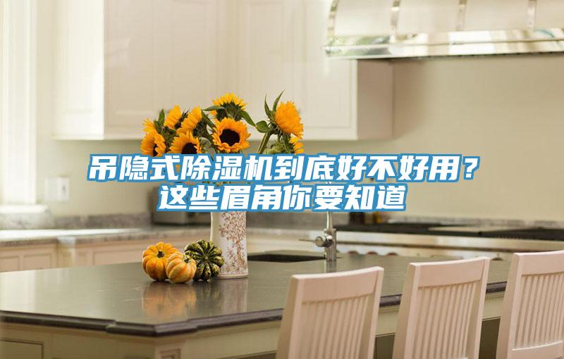 吊隐式除湿机到底好不好用？这些眉角你要知道