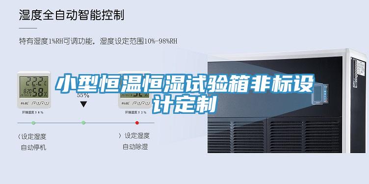 小型恒温恒湿试验箱非标设计定制