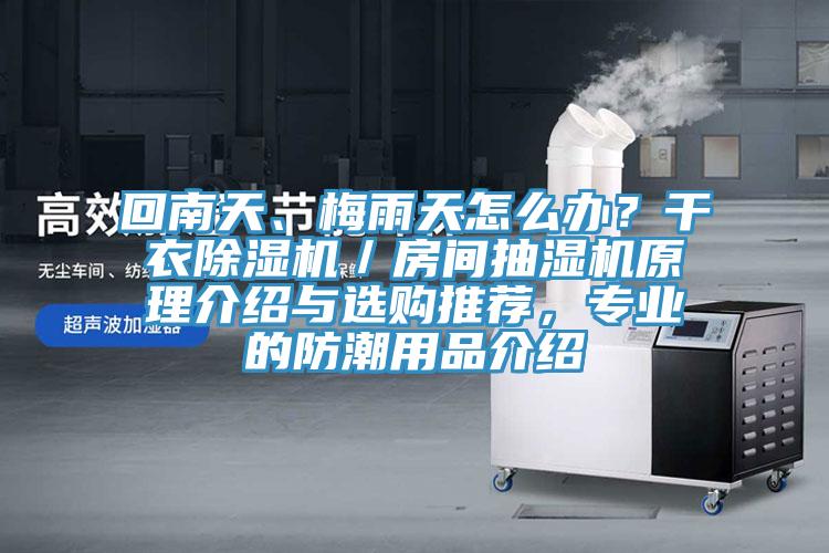 回南天、梅雨天怎么办？干衣除湿机／房间抽湿机原理介绍与选购推荐，专业的防潮用品介绍