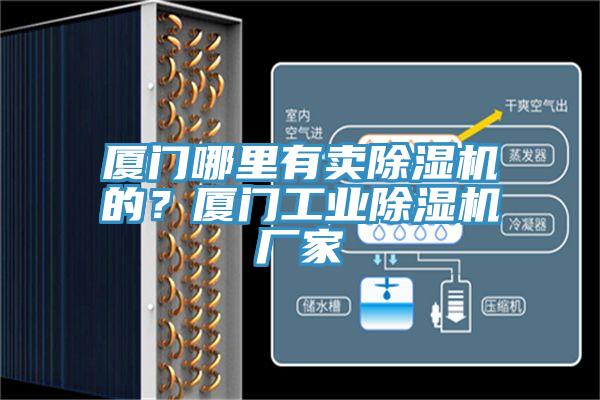 厦门哪里有卖除湿机的？厦门工业除湿机厂家