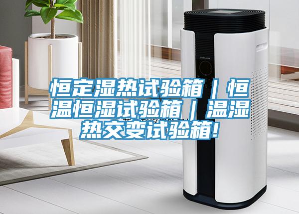 恒定湿热试验箱｜恒温恒湿试验箱｜温湿热交变试验箱!