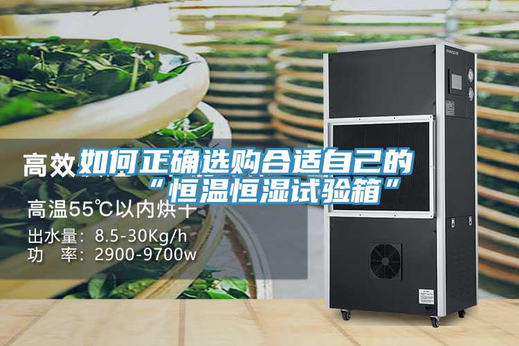 如何正确选购合适自己的“恒温恒湿试验箱”