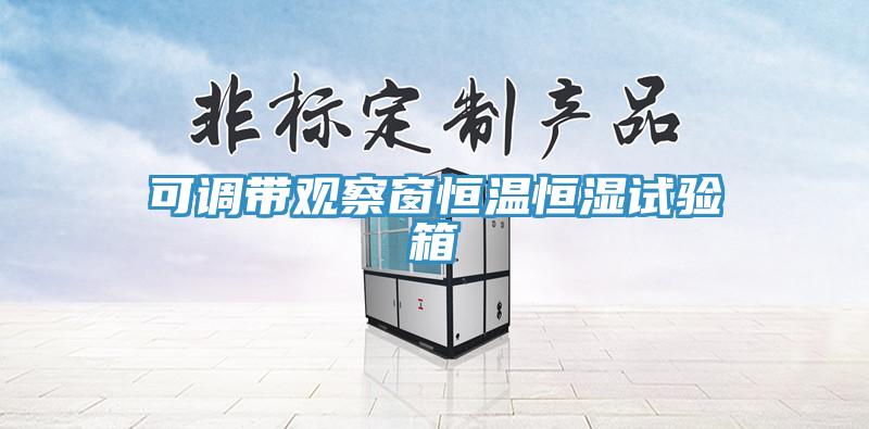 可调带观察窗恒温恒湿试验箱
