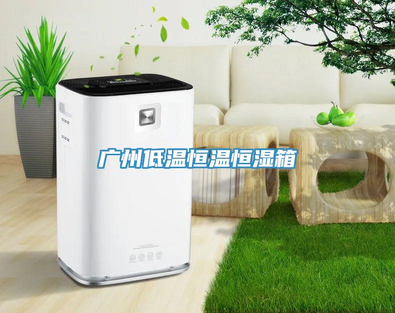 广州低温恒温恒湿箱