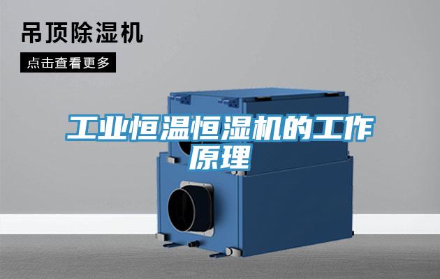 工业恒温恒湿机的工作原理