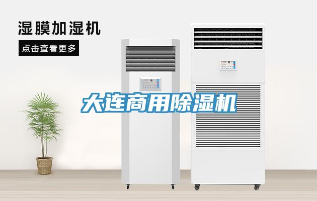 大连商用除湿机