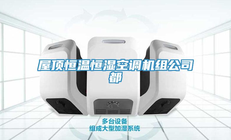 屋顶恒温恒湿空调机组公司都