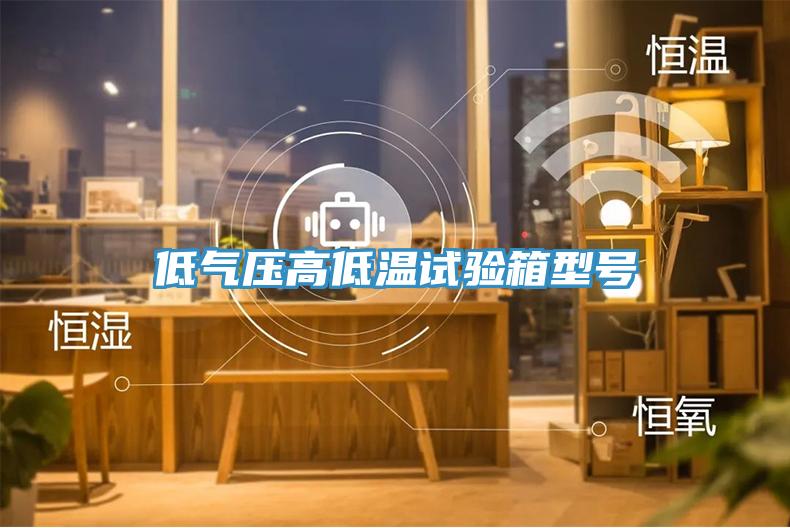 低气压高低温试验箱型号
