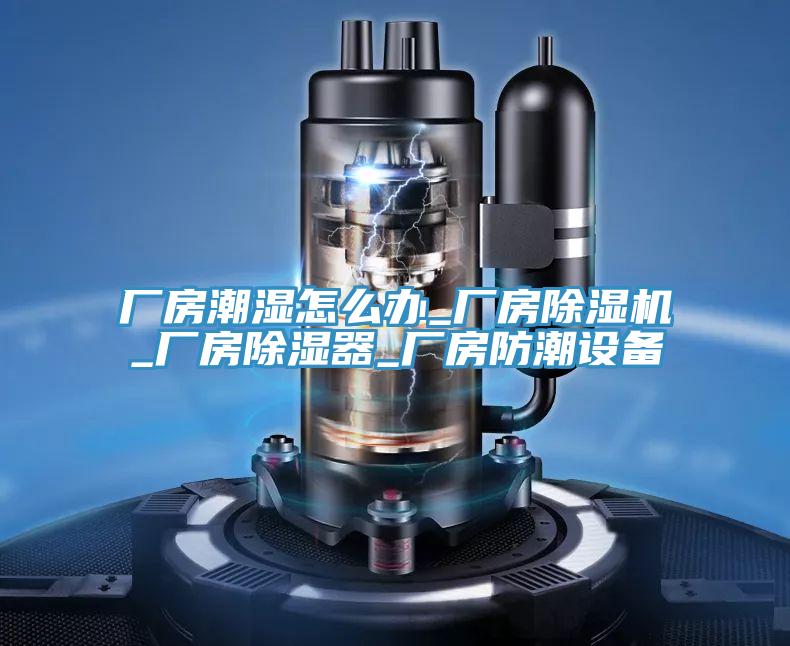 厂房潮湿怎么办_厂房除湿机_厂房除湿器_厂房防潮设备