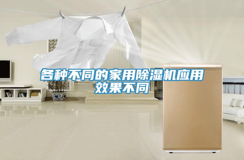 各种不同的家用除湿机应用效果不同