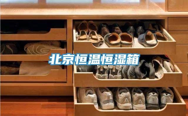北京恒温恒湿箱