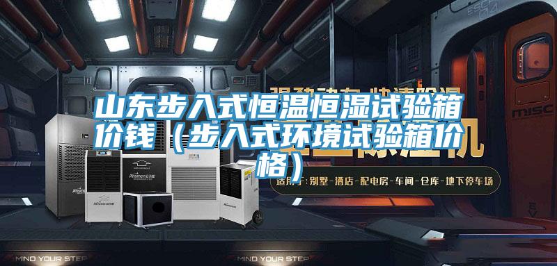 山东步入式恒温恒湿试验箱价钱（步入式环境试验箱价格）