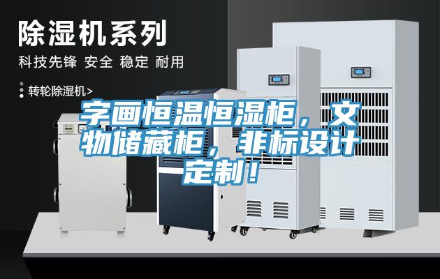 字画恒温恒湿柜，文物储藏柜，非标设计定制！