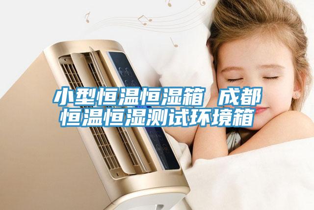 小型恒温恒湿箱 成都恒温恒湿测试环境箱