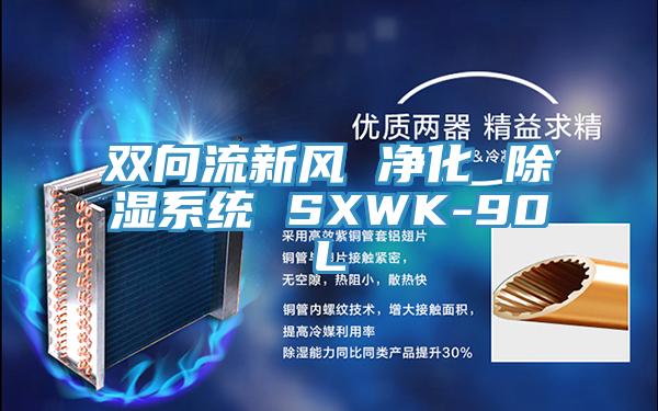 双向流新风 净化 除湿系统 SXWK-90L