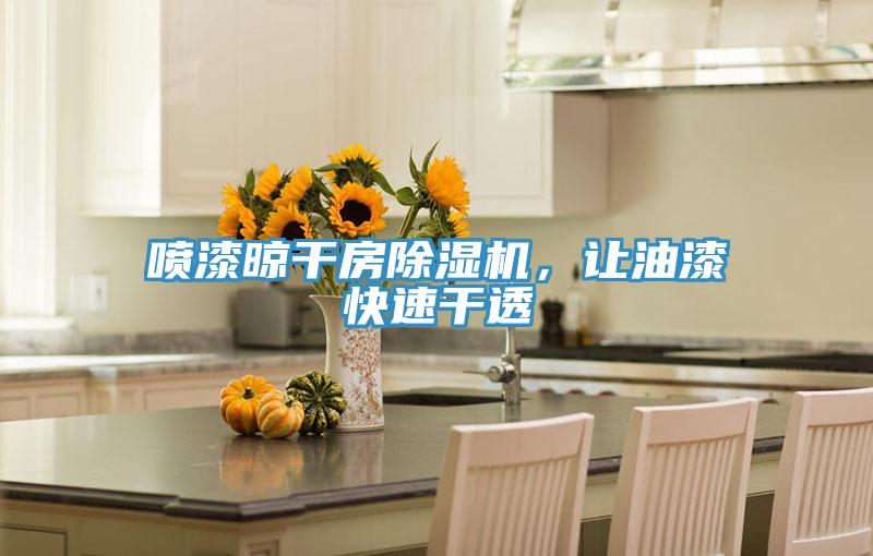 喷漆晾干房除湿机，让油漆快速干透