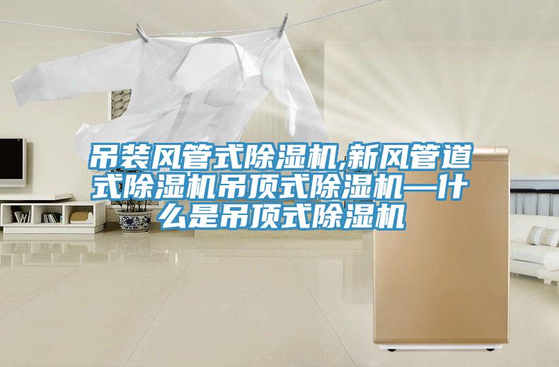 吊装风管式除湿机,新风管道式除湿机吊顶式除湿机—什么是吊顶式除湿机