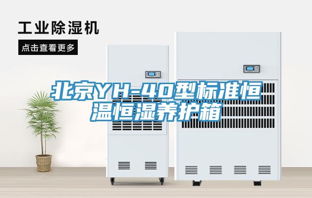北京YH-40型标准恒温恒湿养护箱