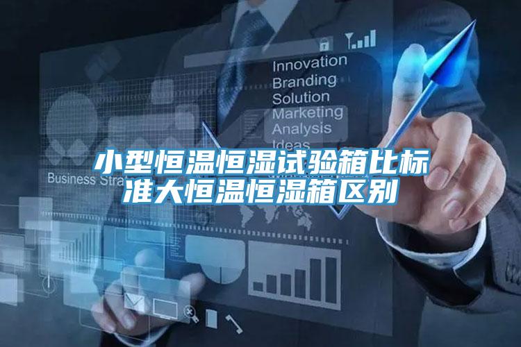 小型恒温恒湿试验箱比标准大恒温恒湿箱区别
