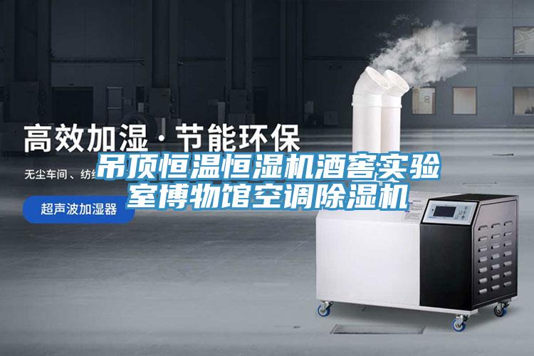吊顶恒温恒湿机酒窖实验室博物馆空调除湿机