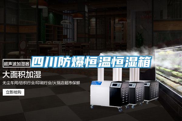 四川防爆恒温恒湿箱