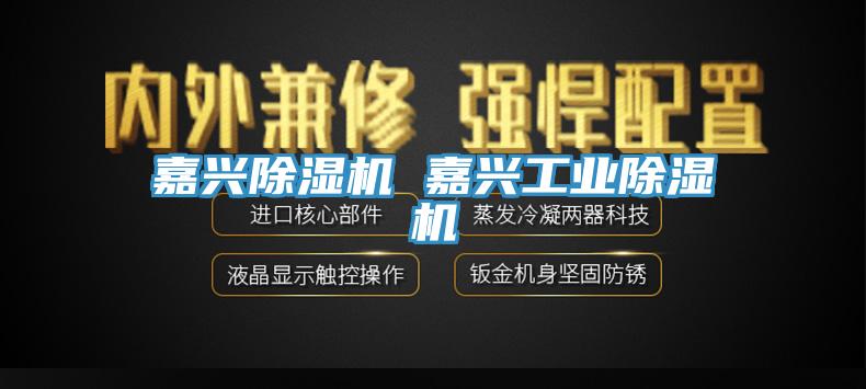 嘉兴除湿机 嘉兴工业除湿机