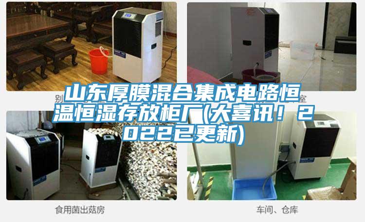 山东厚膜混合集成电路恒温恒湿存放柜厂(大喜讯！2022已更新)