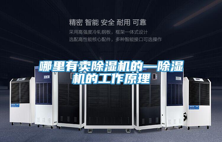 哪里有卖除湿机的—除湿机的工作原理