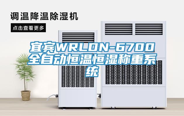 宜宾WRLDN-6700全自动恒温恒湿称重系统