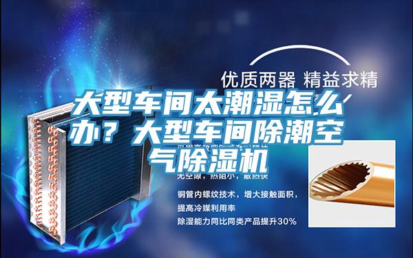 大型车间太潮湿怎么办？大型车间除潮空气除湿机