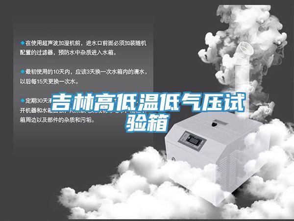 吉林高低温低气压试验箱