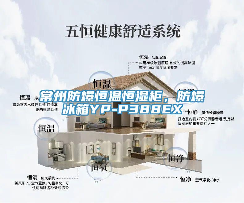 常州防爆恒温恒湿柜，防爆冰箱YP-P388EX
