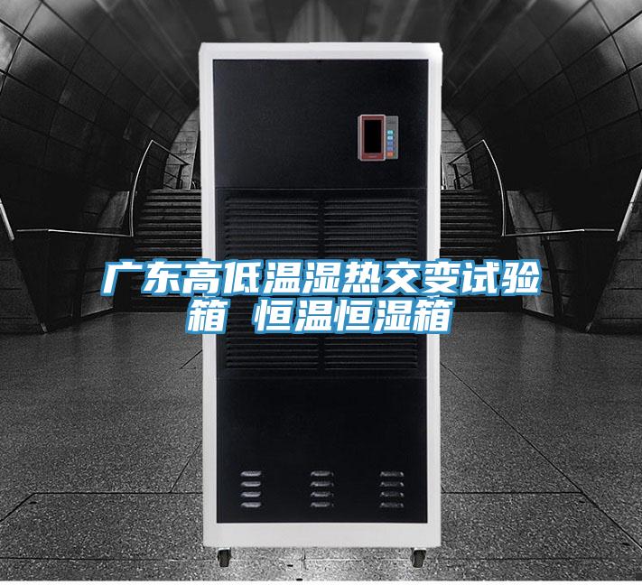 广东高低温湿热交变试验箱 恒温恒湿箱