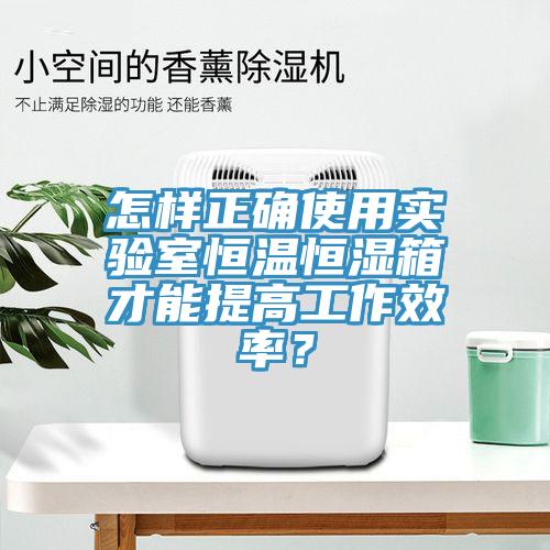 怎样正确使用实验室恒温恒湿箱才能提高工作效率？