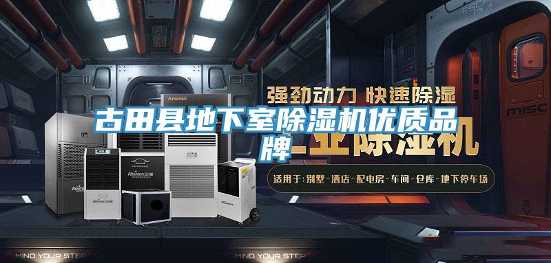 古田县地下室除湿机优质品牌