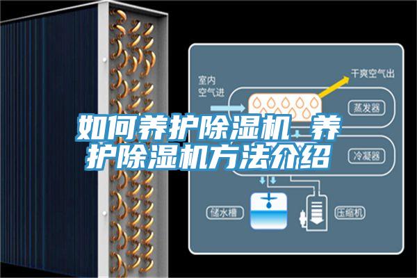 如何养护除湿机 养护除湿机方法介绍