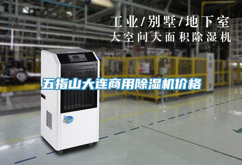 五指山大连商用除湿机价格