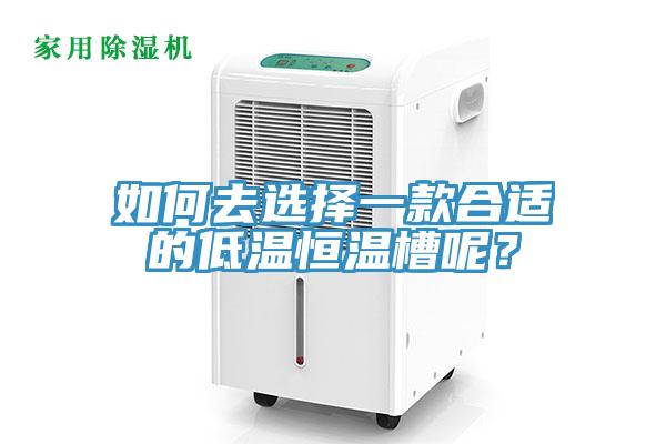 如何去选择一款合适的低温恒温槽呢？