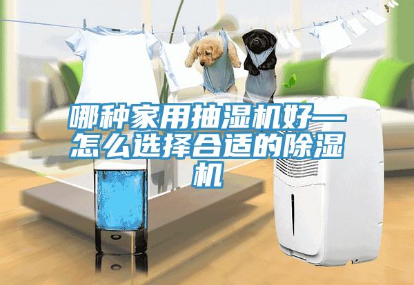 哪种家用抽湿机好—怎么选择合适的除湿机