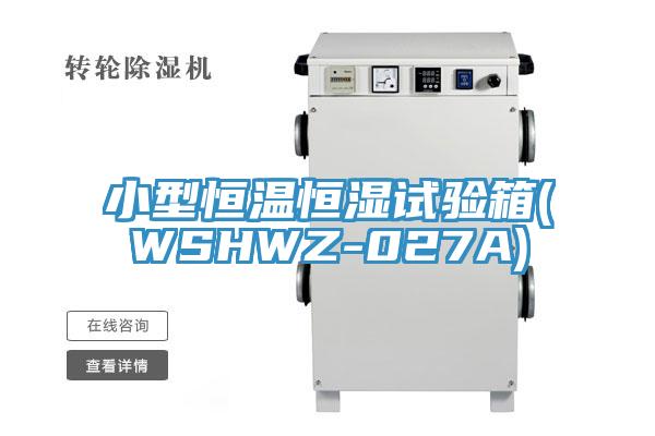小型恒温恒湿试验箱(WSHWZ-027A)