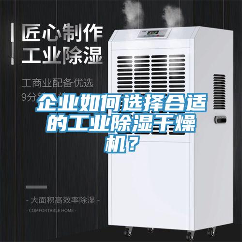 企业如何选择合适的工业除湿干燥机？