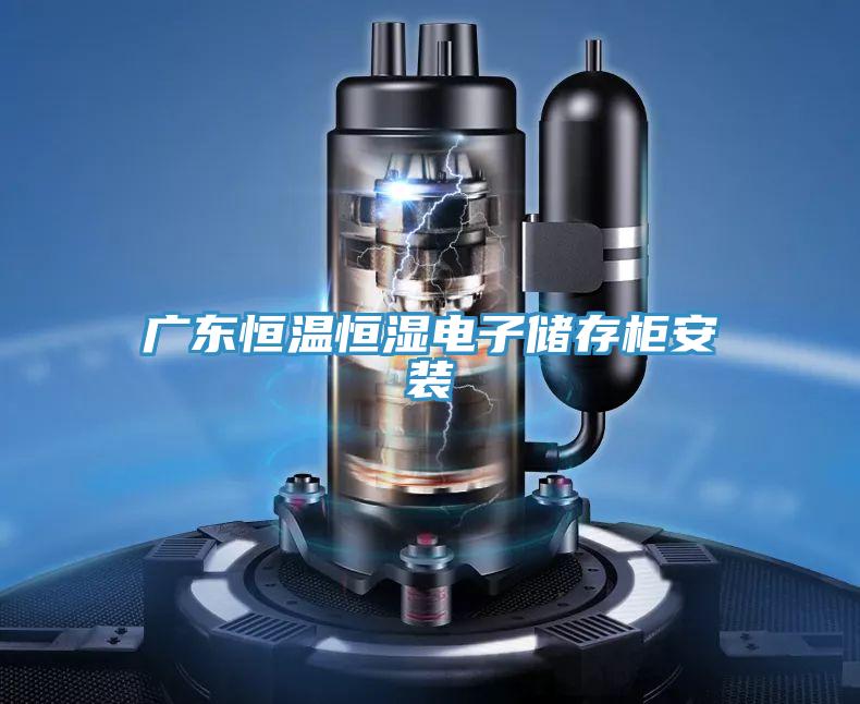 广东恒温恒湿电子储存柜安装