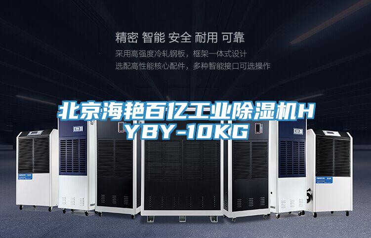 北京海艳百亿工业除湿机HYBY-10KG