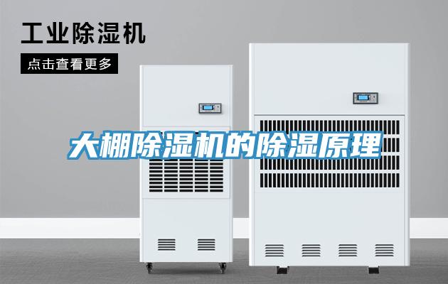 大棚除湿机的除湿原理