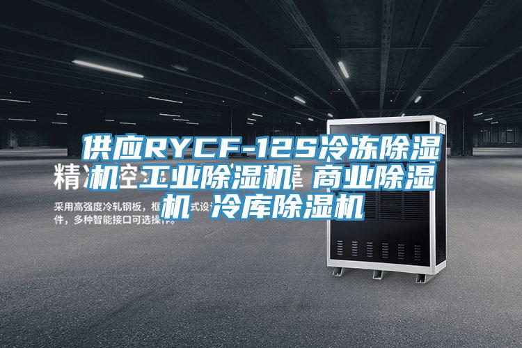 供应RYCF-12S冷冻除湿机 工业除湿机 商业除湿机 冷库除湿机
