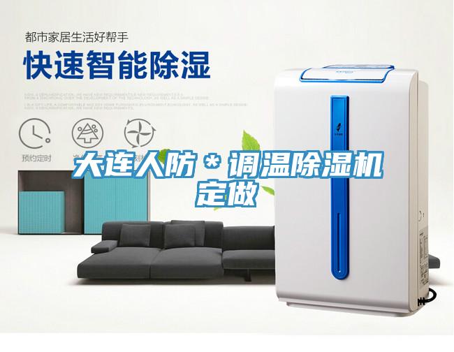 大连人防＊调温除湿机定做