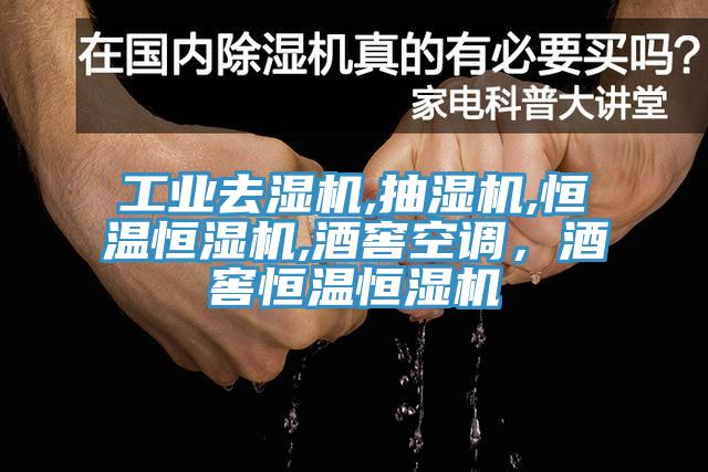 工业去湿机,抽湿机,恒温恒湿机,酒窖空调，酒窖恒温恒湿机